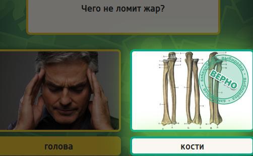 Костя ломит. Жар костей не ломит. Жар костей не ломит прикол. Пар костей не ломит или Жар. Жар костей не ломит фото.