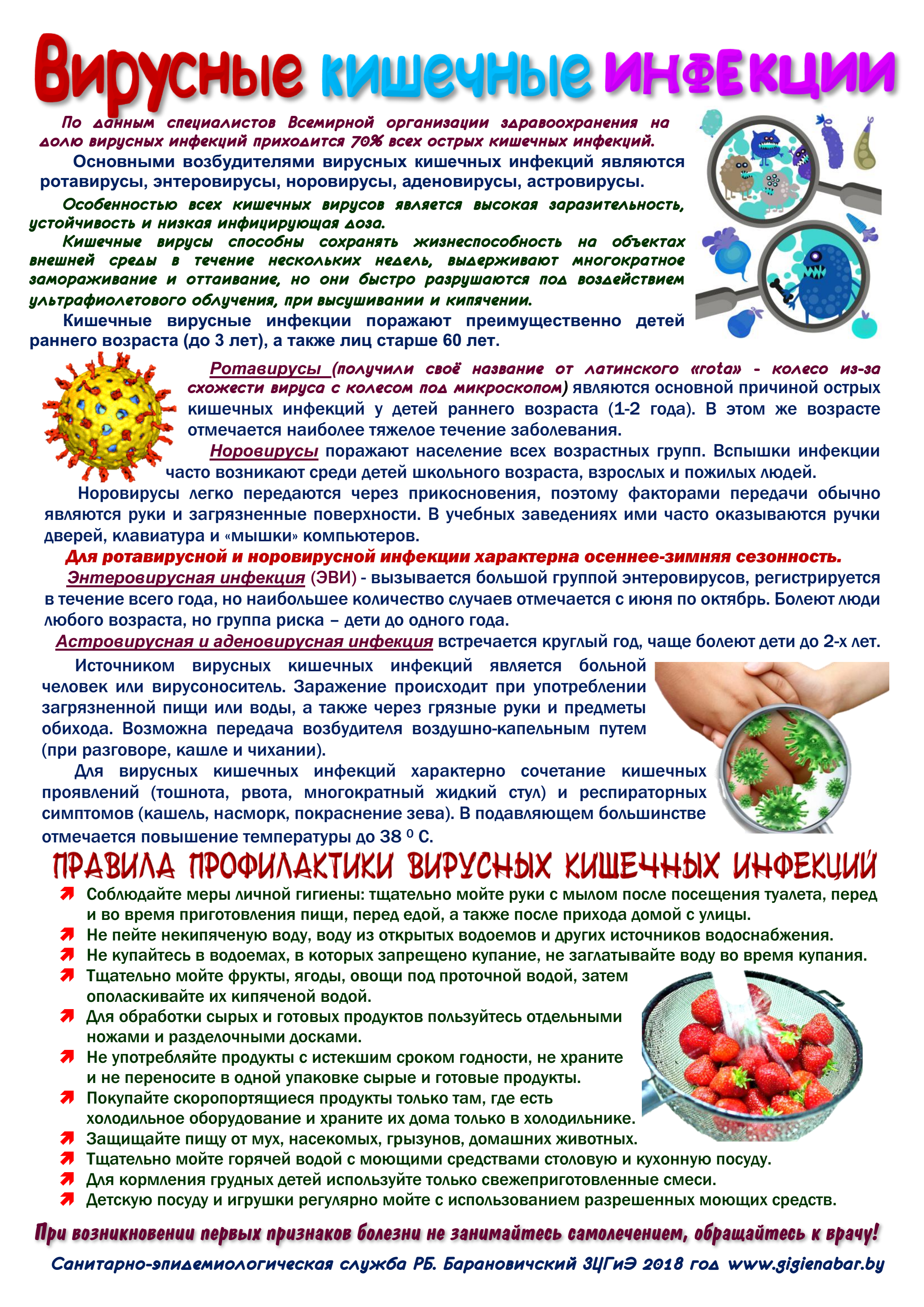 Профилактика заболеваний кишечной инфекции