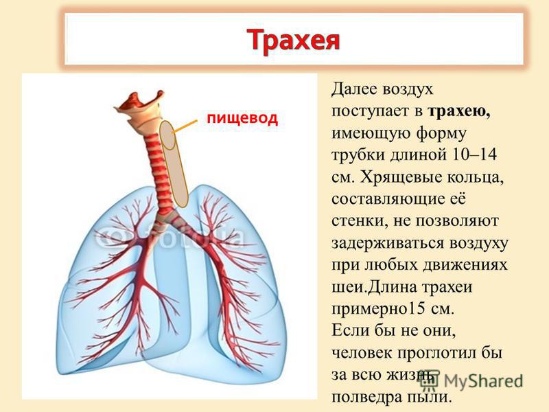 Попал воздух