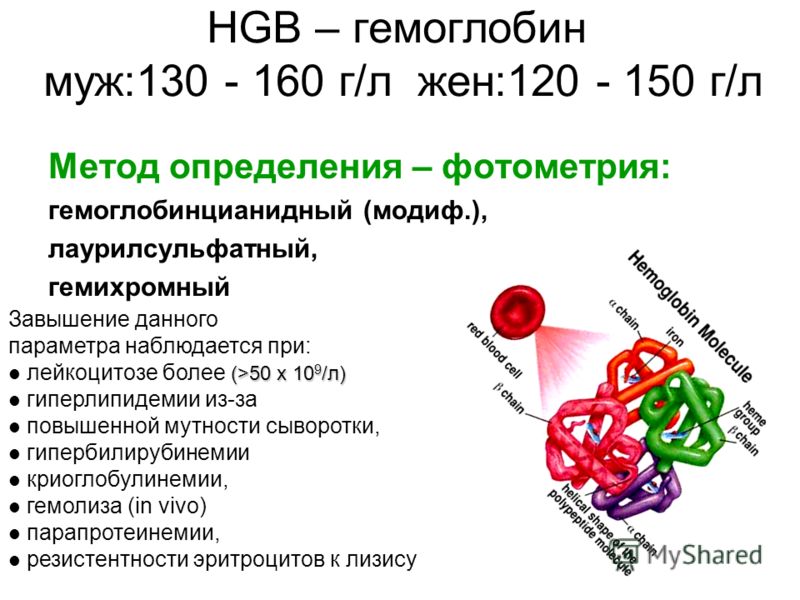 Гемоглобин что это значит у женщин. Гемоглобин. Гемоглобин HGB. HHB гемоглобина. Гемоглобин (HGB) (Г/Л).