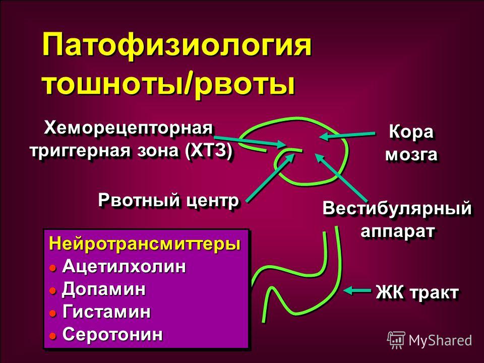 Рвотный рефлекс