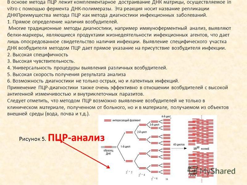 Картинки Пцр Тест На Ковид