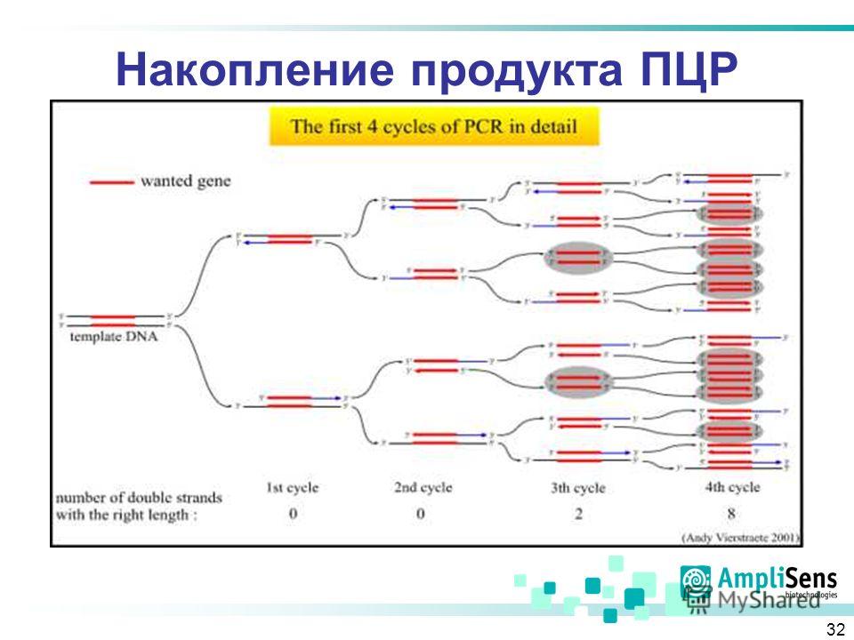 Наличие пцр. Метод ПЦР бактерий. Полимеразная цепная реакция прибор. Тестирование методом ПЦР. Рис. 9.1. Полимеразная цепная реакция (схема).