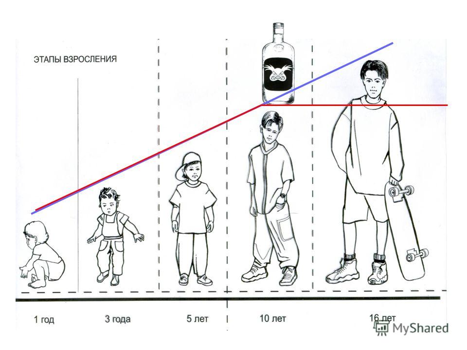 Этапы взросления