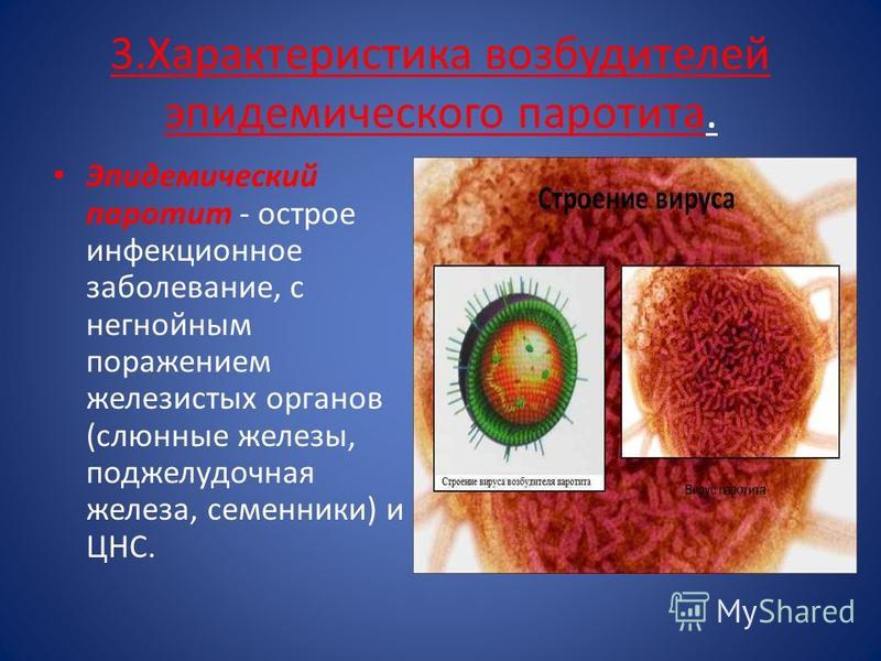 Корь микробиология презентация