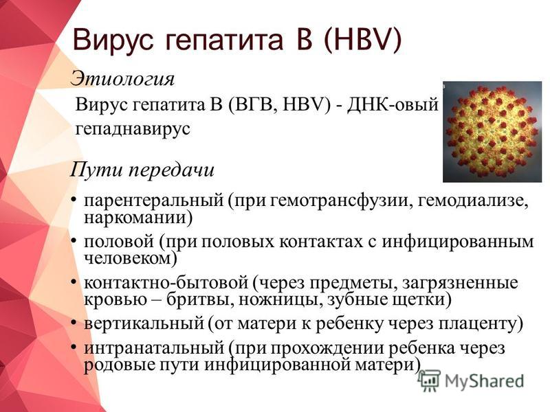 Гепатит б 6