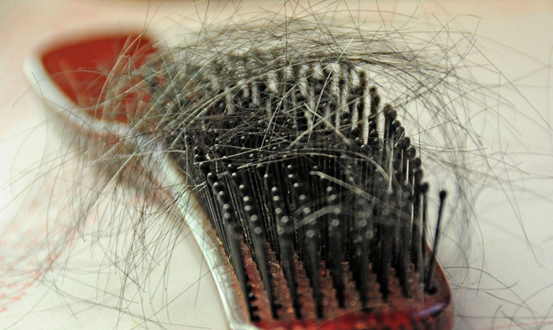 Что делать если волосы из кисточки выпадают