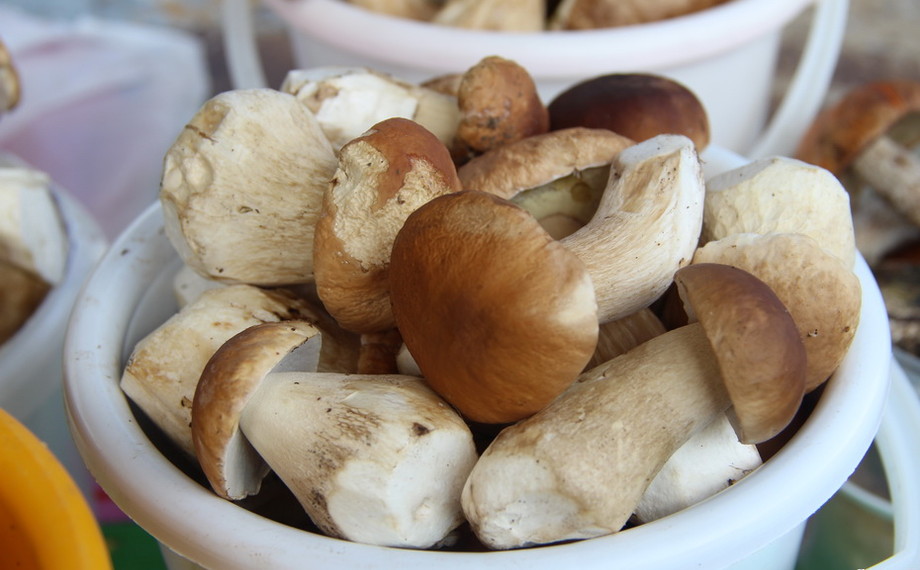 Чем полезен белый гриб для человека. Белый гриб. Самые полезные грибы. Белый гриб полезный. Какие белые грибы полезны.