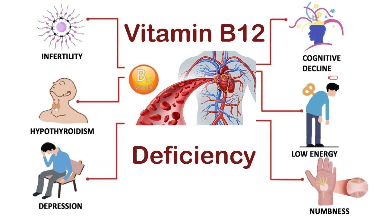 A que hora tomar la vitamina b12