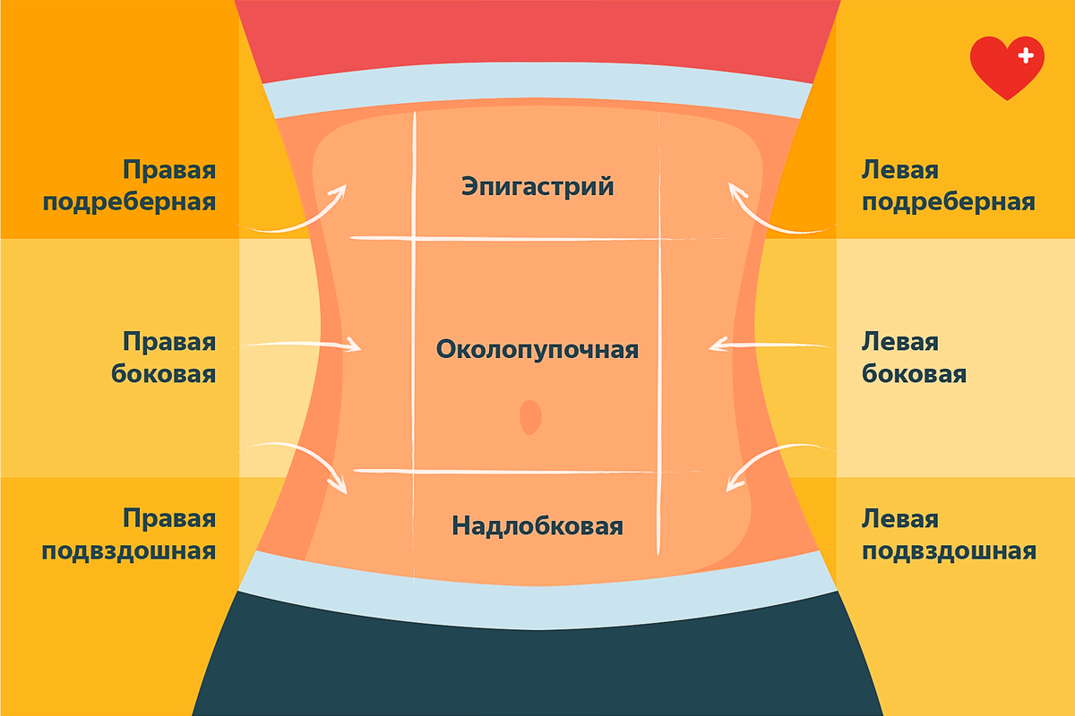 Болит живот картинка что болит