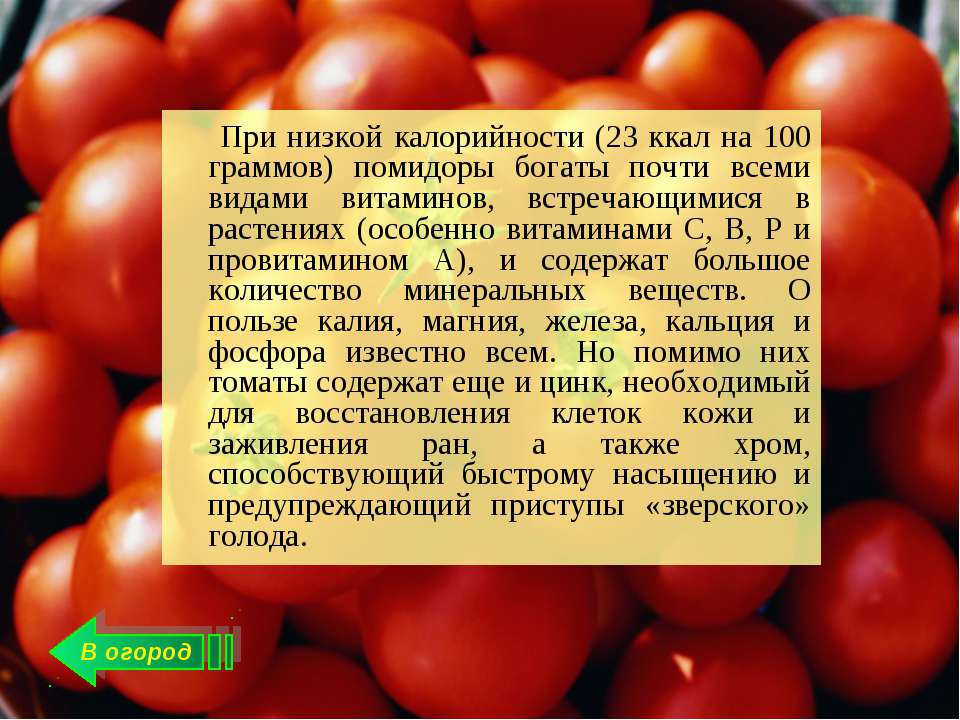 Сколько соли в свежих помидорах. Калории в помидорах свежих. Помидор калорийность. Калорийность помидора свежего. Помидоры калории на 100 грамм.