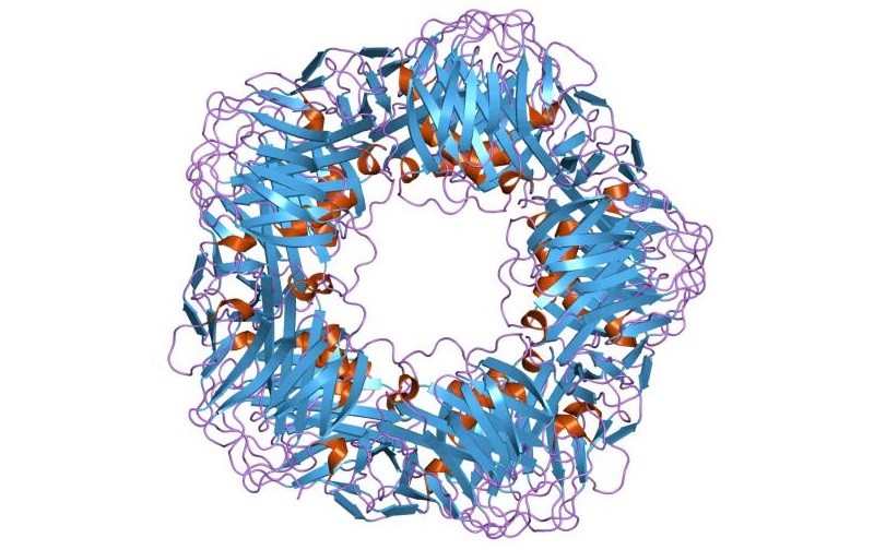 С-реактивный белок