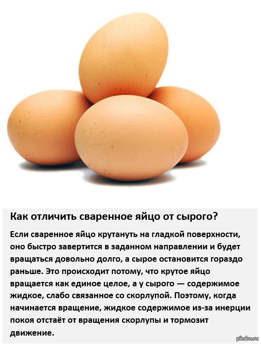 Сварятся ли яйца. Факты о яйцах куриных. Интересные факты о яйцах. Факты о вареных яйцах. Яйцо полезные вещества.