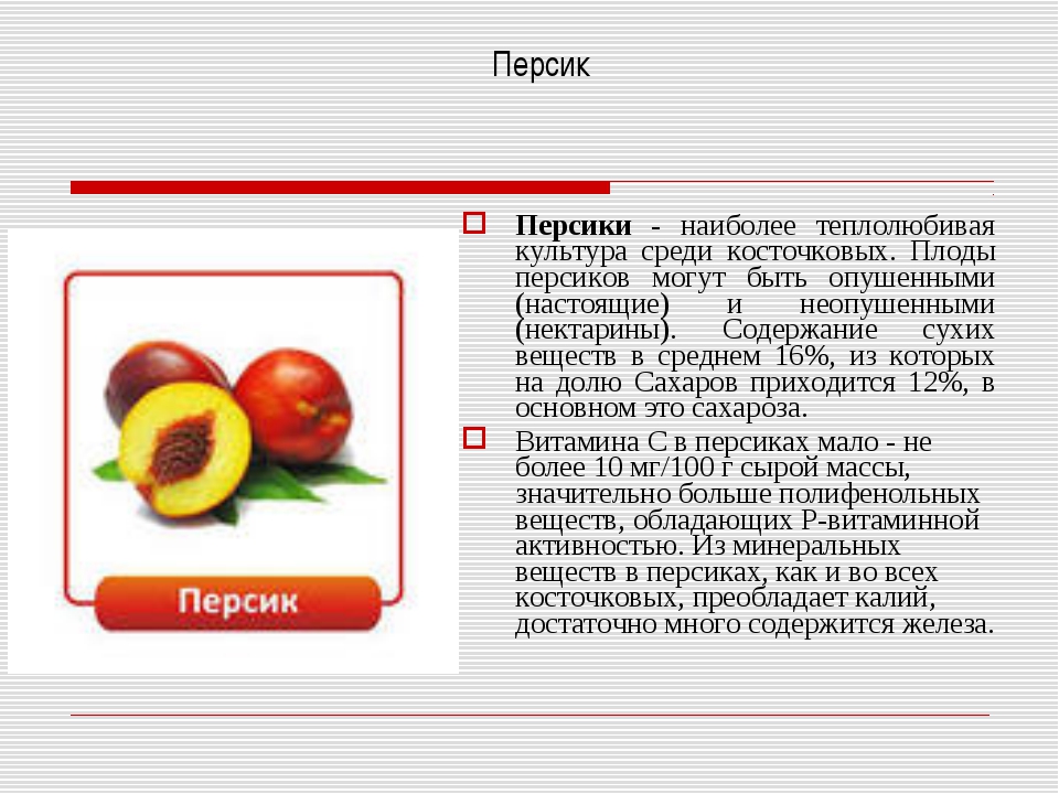 Персик бжу. Витамины в персике. Полезные витамины в персике. Какие витамины содержатся в персике. Доклад про персик.