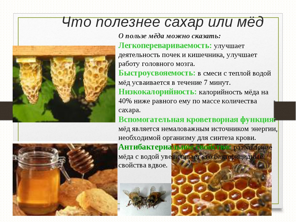 Черный мед польза вред. Что полезнее мед или сахар. Мед это сахар или нет. Мед и сахар сравнение. Вместо меда что полезнее.