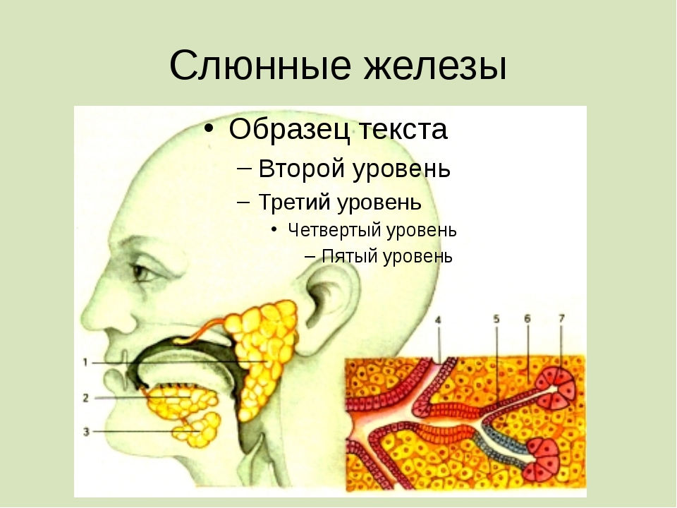 Лечение рака слюнных желез