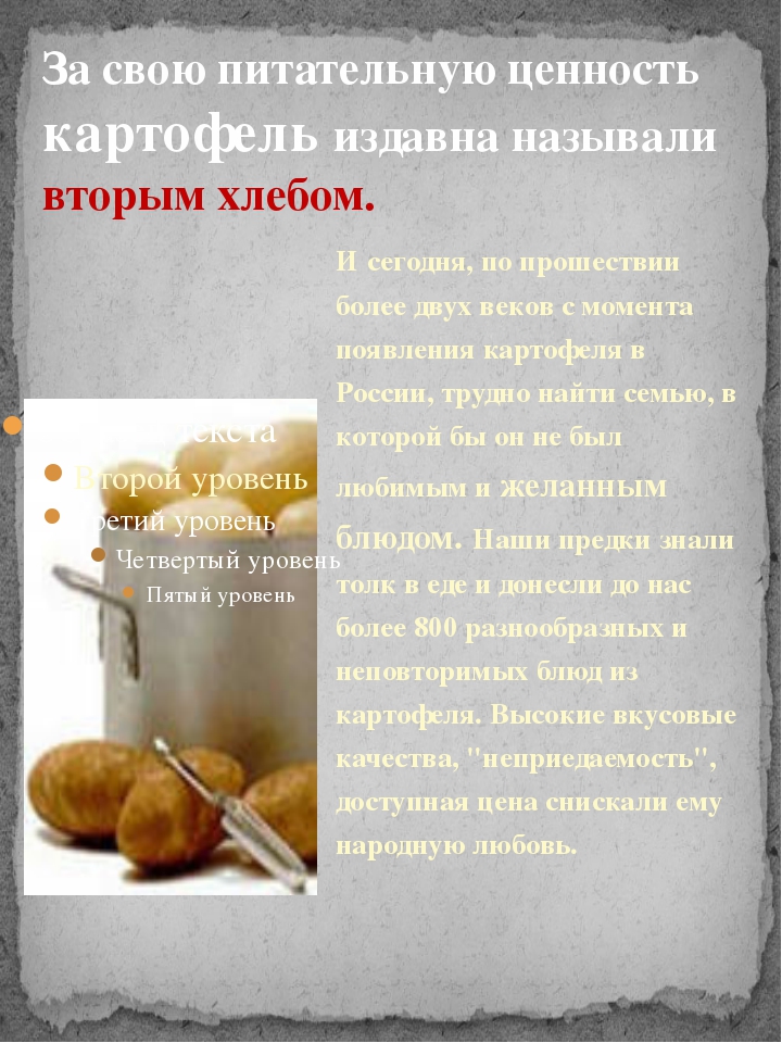 Пищевая ценность картошки. История картофелеводства в России. Ценность картофеля. История появления картофеля в России 6 класс. Пищевая ценность картофеля.