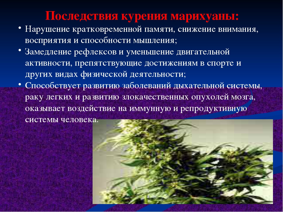 о вреде наркотиков марихуана