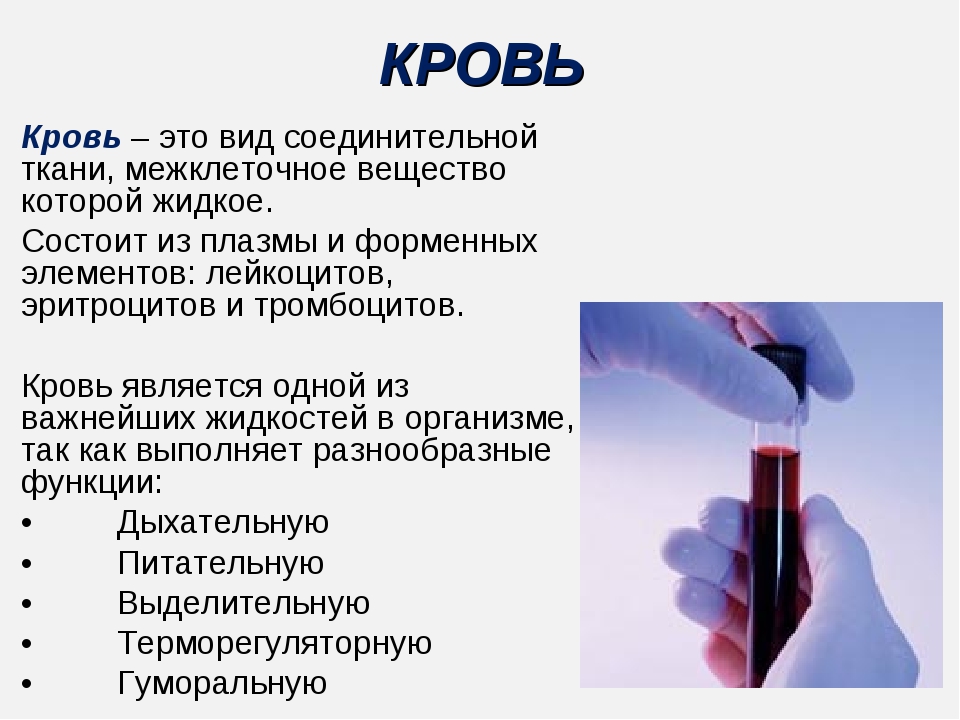 Тел положительный. Кровь является разновидностью. Кровь вид соединительной ткани.