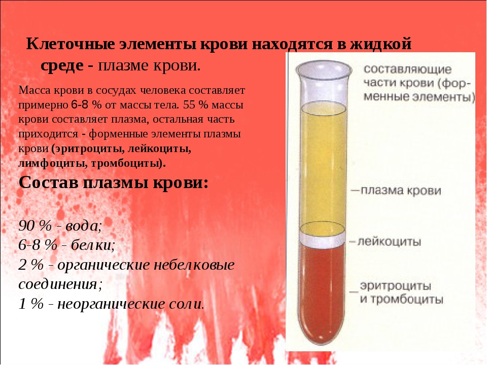 Жидкие элементы. Что находится в плазме крови. Составляющие плазмы крови. Клеточные компоненты крови. Масса крови.