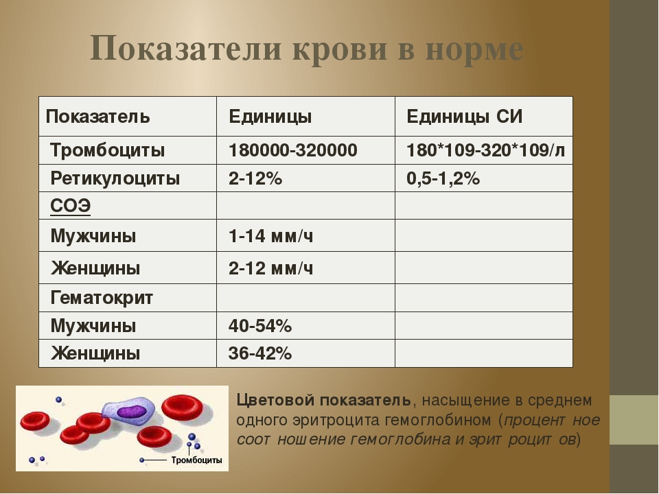 Гемоглобин у мужчин 65 лет. Нормальные показатели ретикулоцитов периферической крови в %. Ретикулоциты показатель крови норма у детей. Ретикулоциты в крови норма. Норма ретикулоцитов в анализе крови.