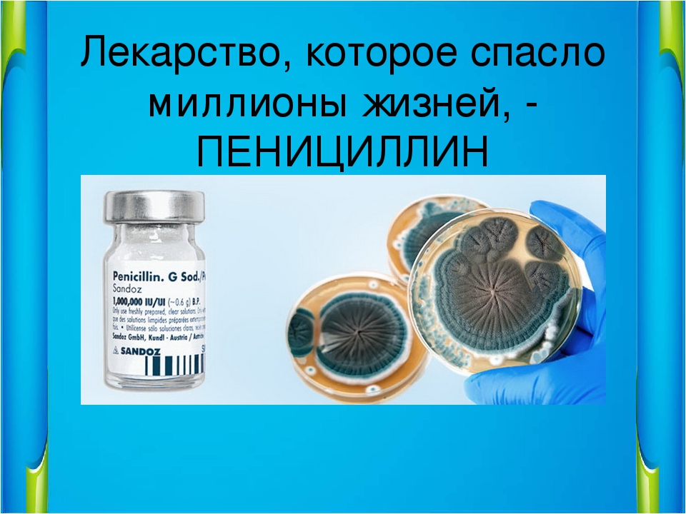 Когда открыли пенициллин. Открытие пенициллина презентация. Пенициллин презентация. Пенициллин история открытия. Открытие пенициллина кратко.