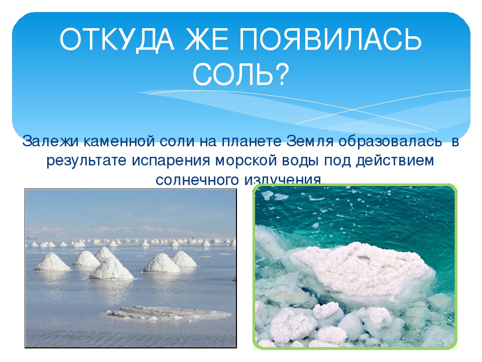 Году соли. Как образуются соли. Соль для дошкольников. Появление поваренной соли. Откуда появилась соль.