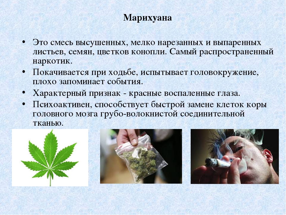 Вред и польза марихуаны на организм наркотики смерти