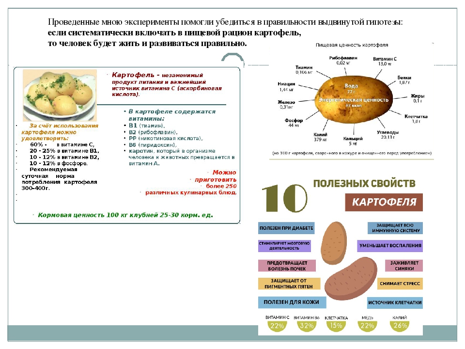 Сколько картофеля. Порция картошки на 1 человека. Сколько картофеля нужно на 1 порцию. Картошка норма на человека. Порция отварного картофеля на человека.