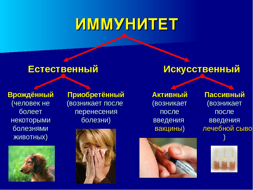 Искусственные признаки. Приобретенный пассивный иммунитет возникает после. Иммунитет активный пассивный врожденный и приобретенный. Естественный врожденный пассивный иммунитет. Иммунитет приобретенный искусственный активный пассивный.