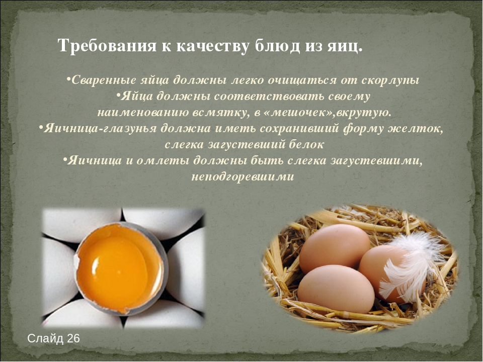 Как правильно выбирать яйца. Приготовление блюд из яиц и яичных продуктов. Сообщение блюда из яиц. Способы приготовления куриных яиц. Информация о яйце.