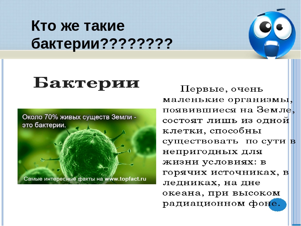 Что такое бактерии. Кто такие бактерии. Бактерии это кратко. Бактерии это в биологии определение. Бактерия это краткое определение.