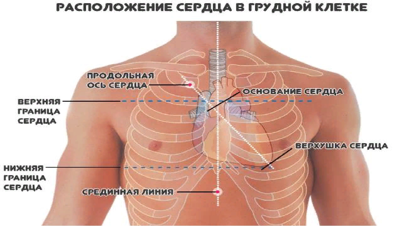 Правая сторона груди. Левая сторона под грудной клеткой. Кольнуло слева в грудной клетке. С левой стороны под грудной клеткой.