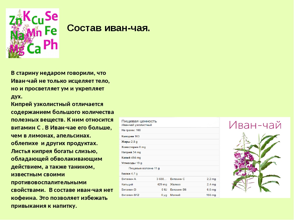 Состав ивану. Паспорт растения кипрей узколистный. Состав Иван чай состав. Иван чай узколистный формула цветка. Формула растения Иван-чая.