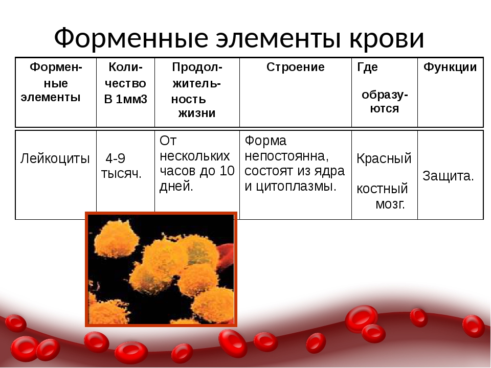 Лейкоциты в 1 мм3 крови. Схема строения форменных элементов крови. Состав и функции форменных элементов крови. Таблица состав крови биология 8 класс. Состав крови функции клеток крови.