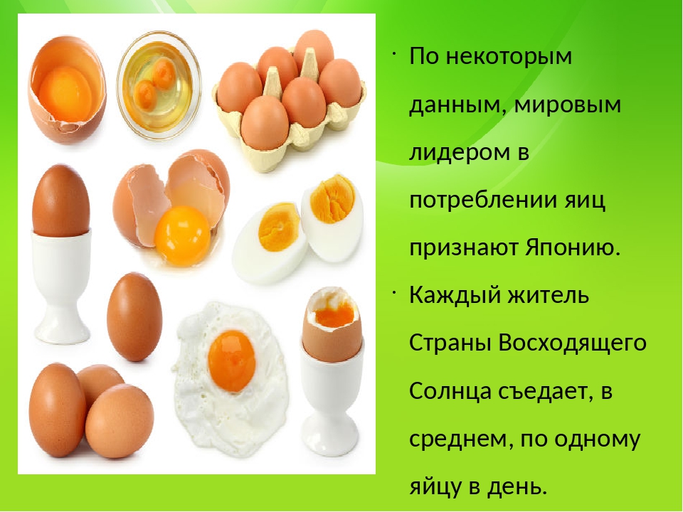 Яички стих. Всемирный день яйца. Информация о куриных яйцах. Интересные факты о яйцах куриных.