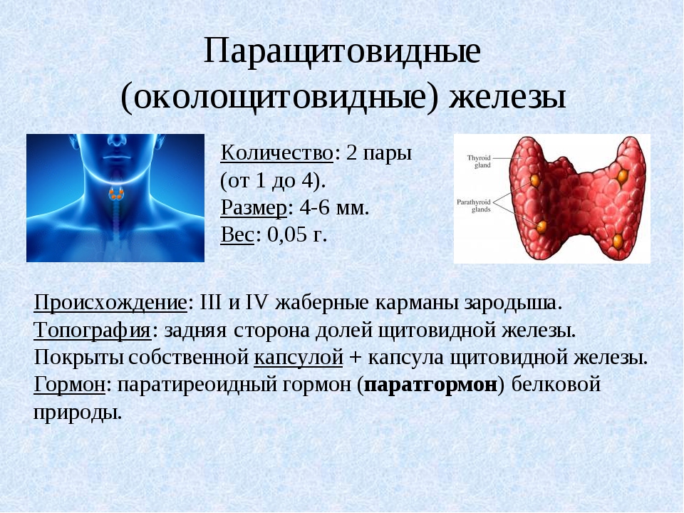 Презентация заболевания паращитовидных желез