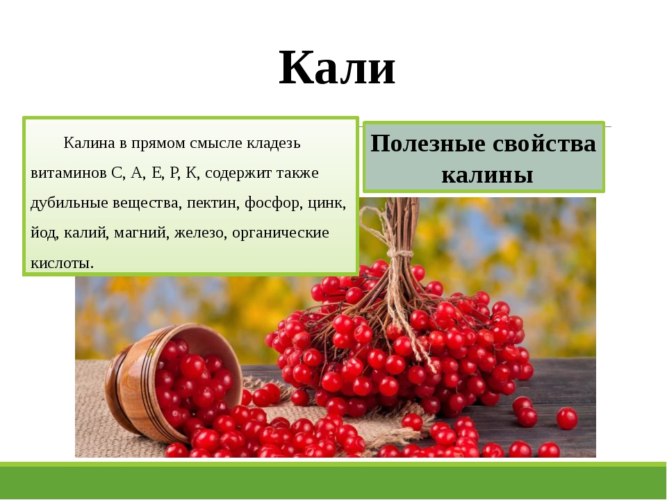 Едят ли калину. Калина витамины. Витамины в калине. Калина ягода витамины. Полезные вещества калины.