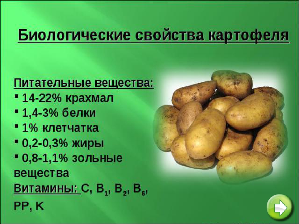В каких продуктах есть картофель. Питательные вещества в картофеле. Содержание полезных веществ в картофеле. Полезные вещества в картошке. Витамины в картофеле.