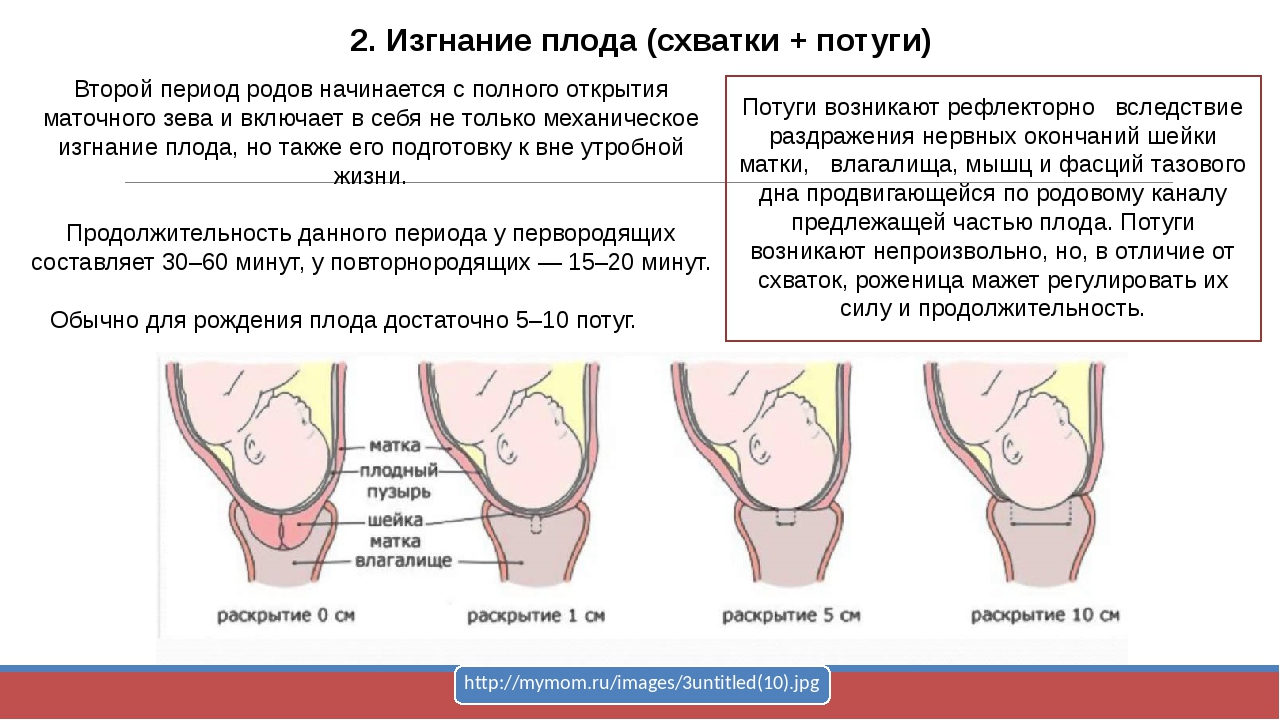 Ощущения при родах. Период изгнания второй период родов. Фазы периода раскрытия шейки матки. Схватки перед родами. Длительность родов.