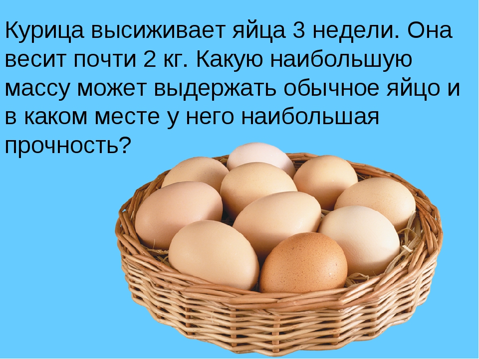 Почему куриные яйца. Яйца для презентации. А прочно ли куриное яйцо. Презентация про куриные яйца. Презентация а прочно ли куриное яйцо.