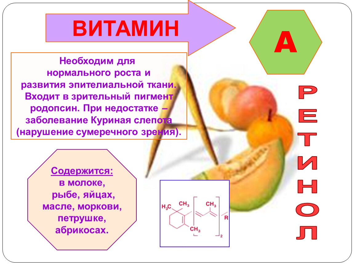 Витамины и их влияние на организм человека проект