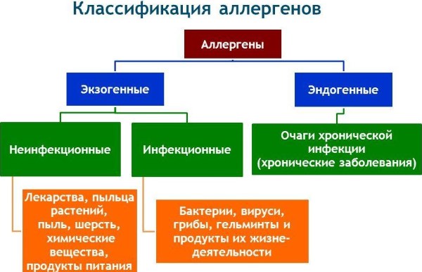 Сухое пятно на коже шелушится и чешется. Что это, что делать, как лечить