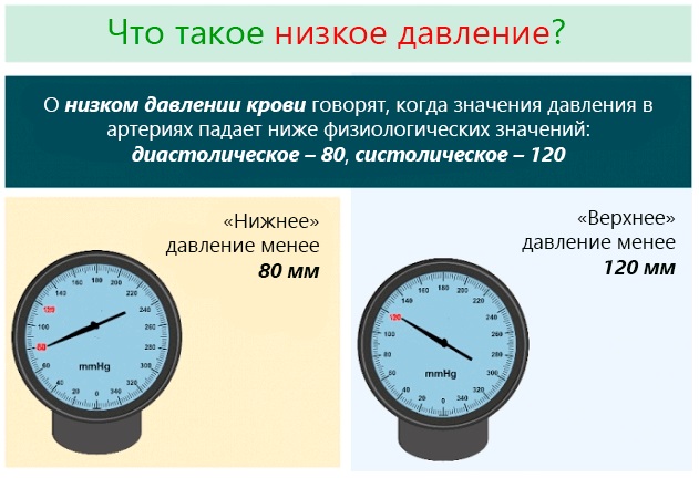 Польза калины для организма. Рецепты применения для женщин, мужчин и детей