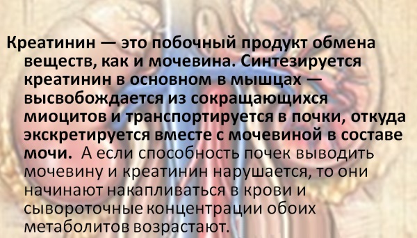 Повышение креатинина в крови. Причины, симптомы, лечение у женщин, мужчин, детей