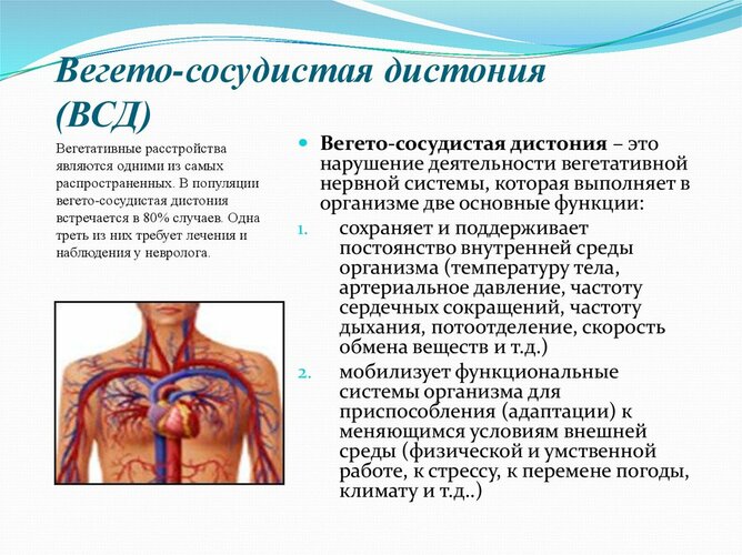 Вегето-сосудистая дистония. Симптомы, лечение, обострение у взрослых