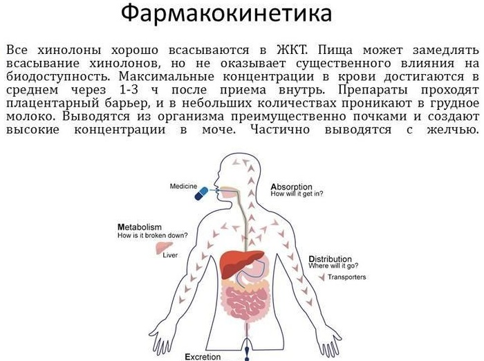 Группы антибиотиков. Классификация препаратов, свойства, описание. Таблица