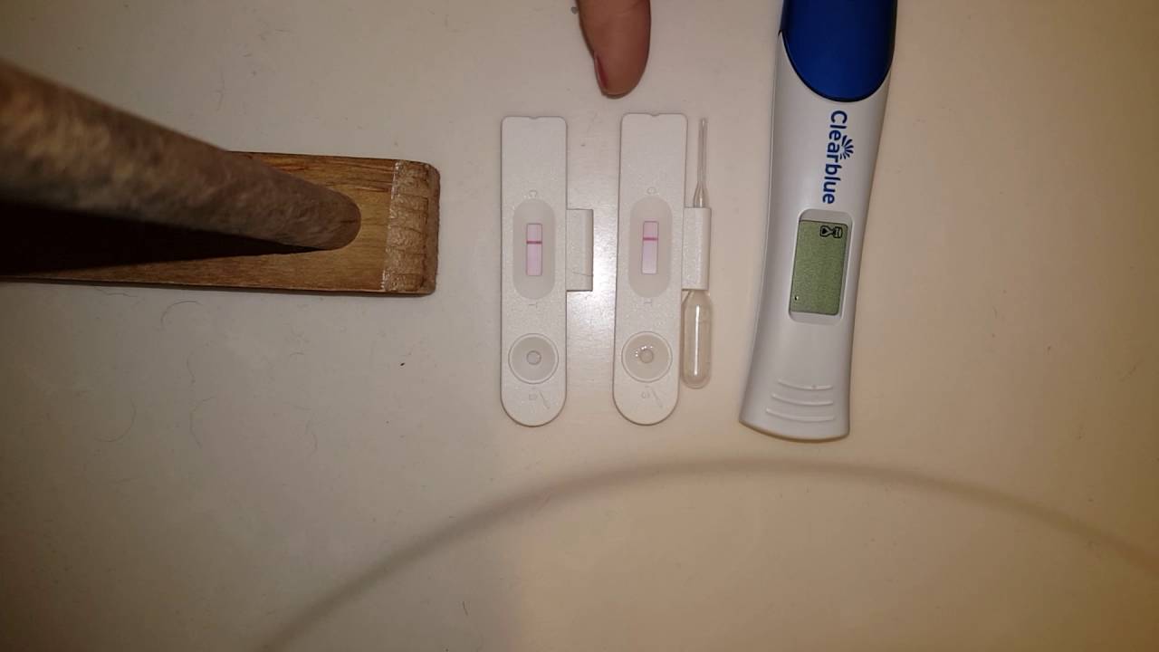 Тест на беременность в туалете. Тест клиаблу (Clearblue). Тест на беременность клеар Блю с таблеткой. Clearblue Plus ложноотрицательный. Разобранный тест клеар Блю.