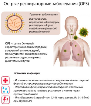 Лечение кашля при беременности в 3 триместре