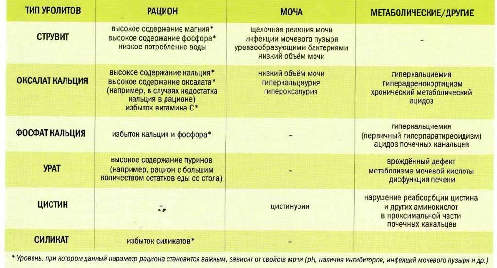 Схема обработки почек